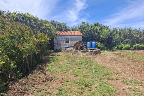 Helårsgrund i Sagres, Faro, Sagres - € 99.000 | Ref: KWPT-032413 - foto 14