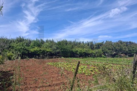 Helårsgrund i Sagres, Faro, Sagres - € 99.000 | Ref: KWPT-032413 - foto 16