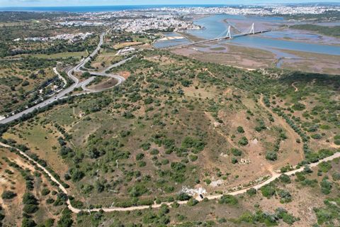 Farm hus i Estombar, Faro, Estombar - € 450.000 | Ref: KWPT-032699 - foto 9