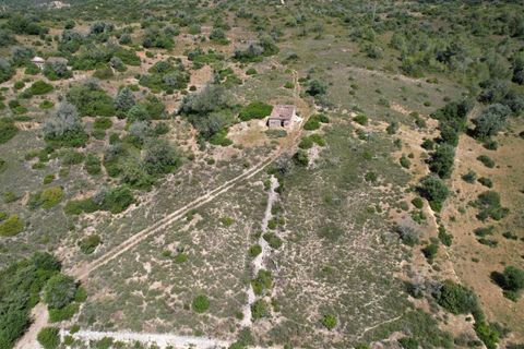Farm hus i Estombar, Faro, Estombar - € 450.000 | Ref: KWPT-032699 - foto 15