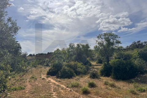 Farm hus i Estombar, Faro, Estombar - € 450.000 | Ref: KWPT-032699 - foto 21
