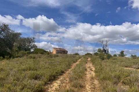 Farm hus i Estombar, Faro, Estombar - € 450.000 | Ref: KWPT-032699 - foto 23