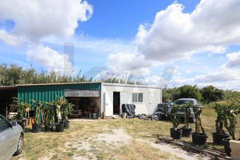 Villa i Luz, Faro, Luz - € 1.250.000 | Ref: KWPT-032769 - foto 23