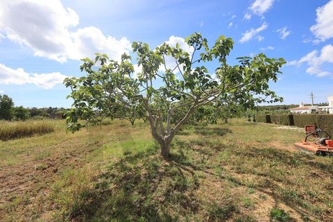 Villa i Luz, Faro, Luz - € 1.250.000 | Ref: KWPT-032769 - foto 25