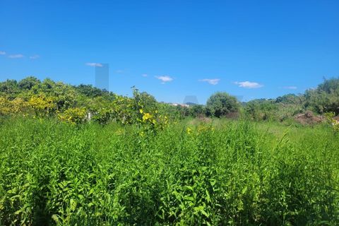 Helårsgrund i Silves, Faro, Silves - € 32.500 | Ref: KWPT-032663 - foto 2