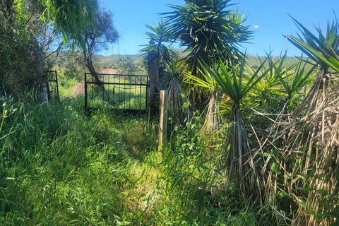 Helårsgrund i Silves, Faro, Silves - € 32.500 | Ref: KWPT-032663 - foto 4