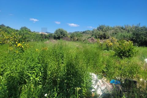 Helårsgrund i Silves, Faro, Silves - € 32.500 | Ref: KWPT-032663 - foto 5