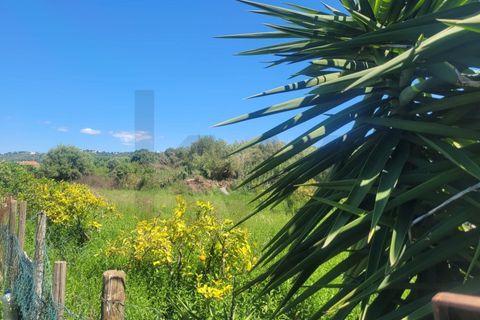 Helårsgrund i Silves, Faro, Silves - € 32.500 | Ref: KWPT-032663 - foto 6