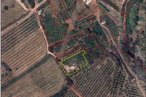 Helårsgrund i Silves, Faro, Silves - € 32.500 | Ref: KWPT-032663 - foto 7