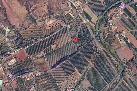 Helårsgrund i Silves, Faro, Silves - € 32.500 | Ref: KWPT-032663 - foto 8