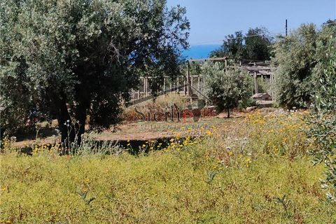 Helårsgrund i Scicli, Ragusa, Scicli - € 150.000 | Ref: 238 - foto 9