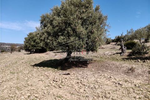 Helårsgrund i Scicli, Ragusa, Scicli - € 150.000 | Ref: 212 - foto 4