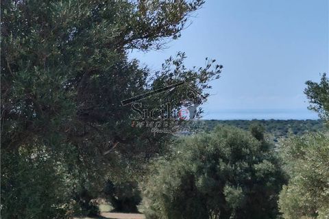 Helårsgrund i Scicli, Ragusa, Scicli - € 120.000 | Ref: 211 - foto 2