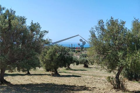 Helårsgrund i Scicli, Ragusa, Scicli - € 120.000 | Ref: 211 - foto 3