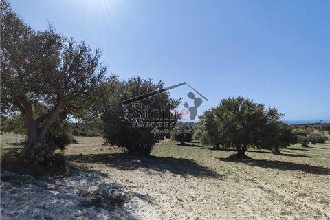 Helårsgrund i Scicli, Ragusa, Scicli - € 120.000 | Ref: 211 - foto 5