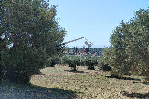 Helårsgrund i Scicli, Ragusa, Scicli - € 120.000 | Ref: 211 - foto 6