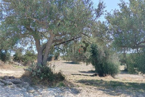 Helårsgrund i Scicli, Ragusa, Scicli - € 120.000 | Ref: 211 - foto 7