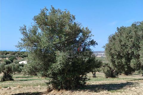 Helårsgrund i Scicli, Ragusa, Scicli - € 120.000 | Ref: 211 - foto 8