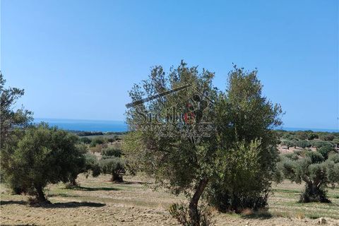 Helårsgrund i Scicli, Ragusa, Scicli - € 120.000 | Ref: 211 - foto 9