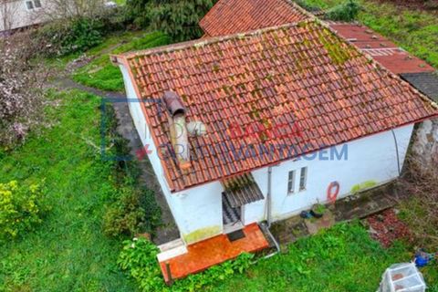 Villa a Barcelos, Braga, Barcelos - € 200.000 | Ref: M-30712 - foto 6