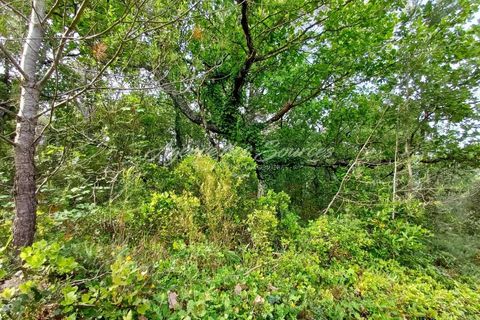 Helårsgrund i Bras, Var, Bras - € 7.000 | Ref: 1704 - foto 1