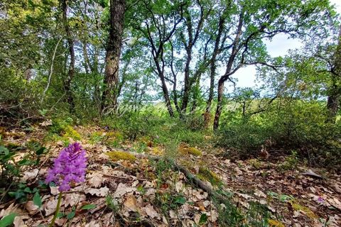 Helårsgrund i Bras, Var, Bras - € 7.000 | Ref: 1704 - foto 2
