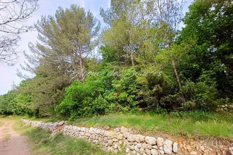 Helårsgrund i Bras, Var, Bras - € 7.000 | Ref: 1704 - foto 3