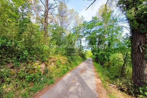 Helårsgrund i Bras, Var, Bras - € 7.000 | Ref: 1704 - foto 4