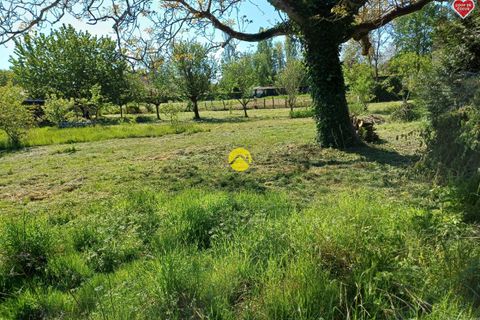 Terra a Diou, Indre, Diou - € 45.000 | Ref: 80MS111627 - foto 4