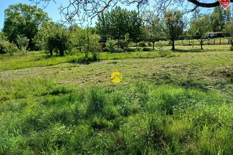 Terra a Diou, Indre, Diou - € 45.000 | Ref: 80MS111627 - foto 5