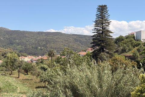 Villa i Monchique, Faro, Monchique - € 599.000 | Ref: M1026 - foto 3