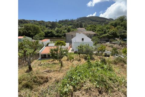 Villa i Monchique, Faro, Monchique - € 599.000 | Ref: M1026 - foto 19