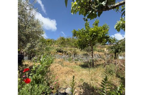 Villa i Monchique, Faro, Monchique - € 599.000 | Ref: M1026 - foto 27