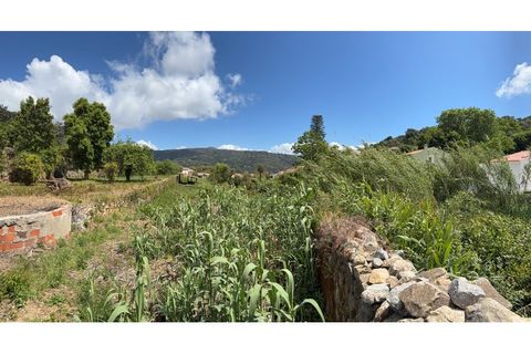 Villa i Monchique, Faro, Monchique - € 599.000 | Ref: M1026 - foto 38
