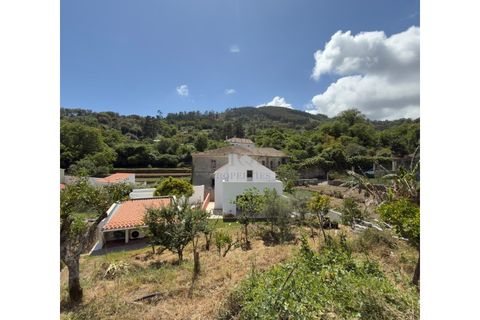 Villa i Monchique, Faro, Monchique - € 599.000 | Ref: M1026 - foto 39