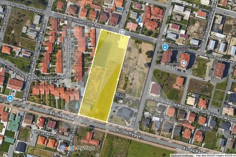 Helårsgrund i Ovar, Aveiro, Ovar - € 850.000 | Ref: 102.1292 - foto 2