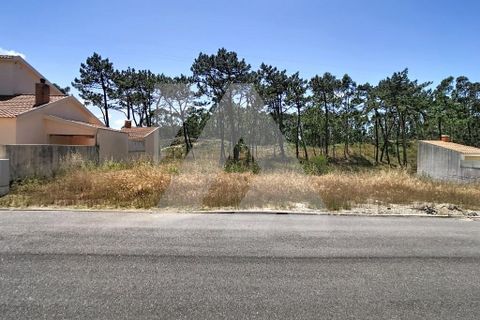 Helårsgrund i Murtosa, Aveiro, Murtosa - € 65.000 | Ref: 102.1295 - foto 4
