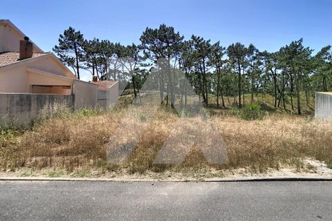 Helårsgrund i Murtosa, Aveiro, Murtosa - € 65.000 | Ref: 102.1295 - foto 5