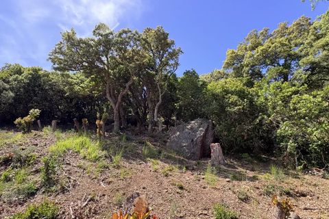 Helårsgrund i Agay, Var, Agay - € 990.000 | Ref: 0283 - foto 6