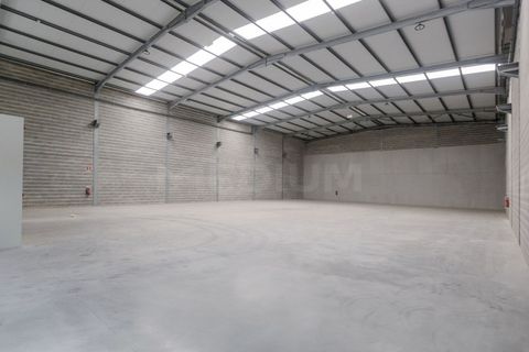 L'establiment comercial a Trofa, Porto, Trofa - € 2.800/mes | Ref: 3467_I - foto 4
