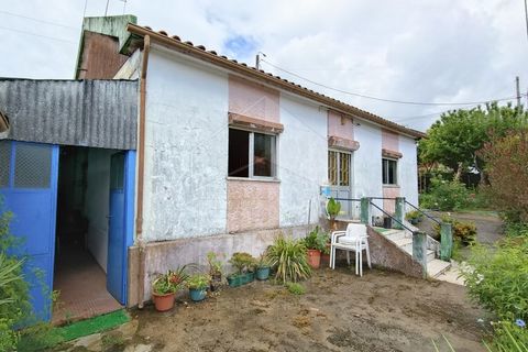 Villa a Barroselas, Viana do Castelo, Barroselas - € 145.000 | Ref: 251260073 - foto 15