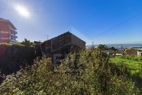 Villa a Areosa, Viana do Castelo, Areosa - € 85.000 | Ref: 251260066 - foto 5
