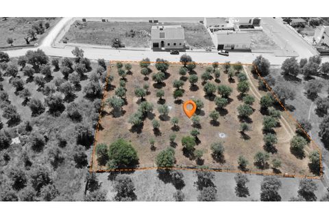 Terra a Alandroal, Evora, Alandroal - € 70.000 | Ref: UNU.I.1267.20159 - foto 3