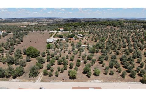 Terra a Alandroal, Evora, Alandroal - € 70.000 | Ref: UNU.I.1267.20159 - foto 5
