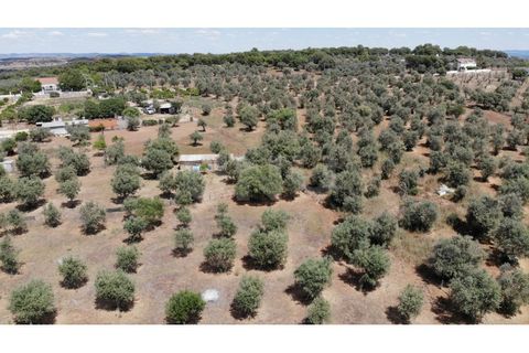 Terra a Alandroal, Evora, Alandroal - € 70.000 | Ref: UNU.I.1267.20159 - foto 6