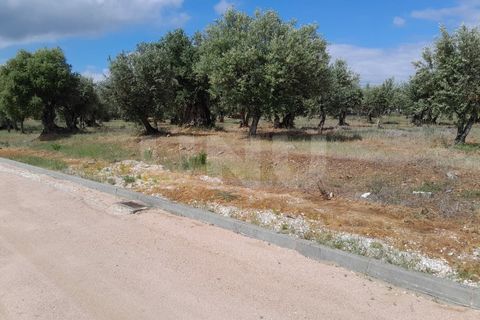 Terra a Alandroal, Evora, Alandroal - € 70.000 | Ref: UNU.I.1267.20159 - foto 8