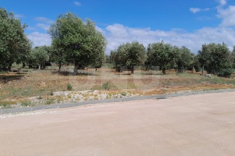 Terra a Alandroal, Evora, Alandroal - € 70.000 | Ref: UNU.I.1267.20159 - foto 9