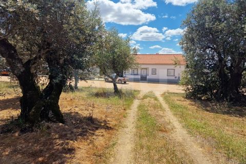 Terra a Alandroal, Evora, Alandroal - € 70.000 | Ref: UNU.I.1267.20159 - foto 11
