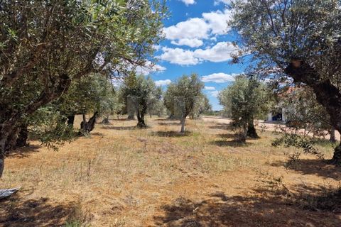 Terra a Alandroal, Evora, Alandroal - € 70.000 | Ref: UNU.I.1267.20159 - foto 12