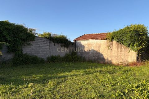 Villa i Vagos, Aveiro, Vagos - € 179.500 | Ref: C0385-00999 - foto 43
